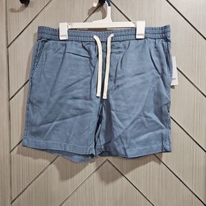 Goodfellow & Co Men's Blue Casual Shorts